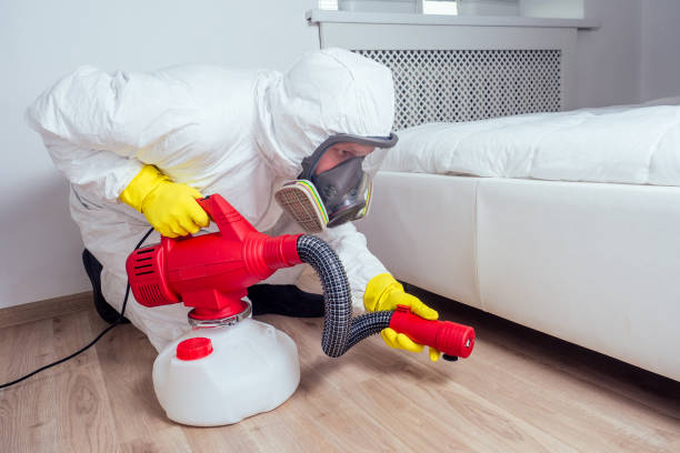 Best Local Pest Control Services  in Litchfield Beach, SC