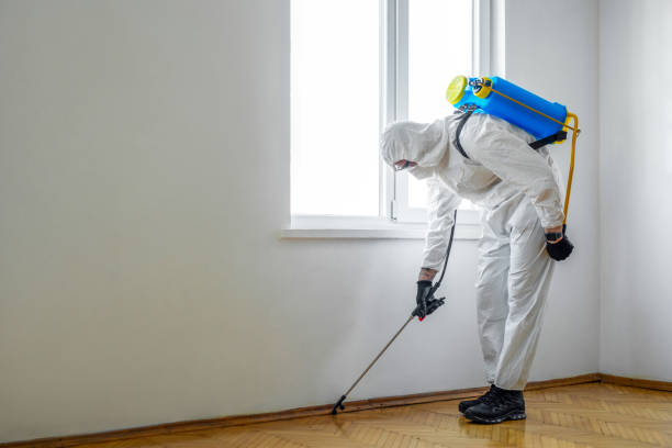 Best Best Pest Control Companies  in Litchfield Beach, SC